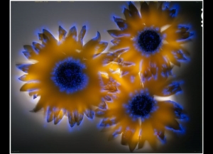 robert-buelteman-flores-1